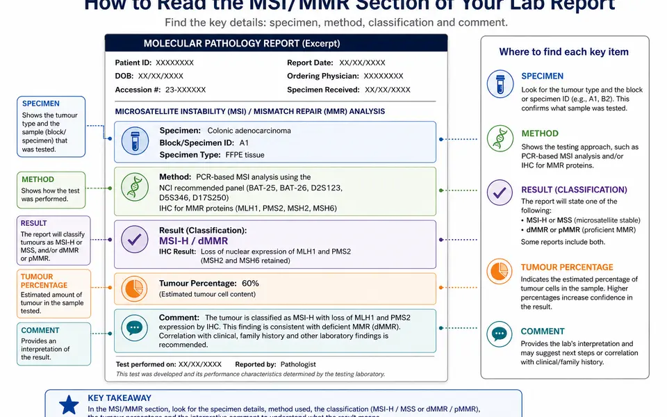 Sample pathology report excerpt with the MSI/MMR section highlighted and annotated to show specimen details, test method, result and comment.