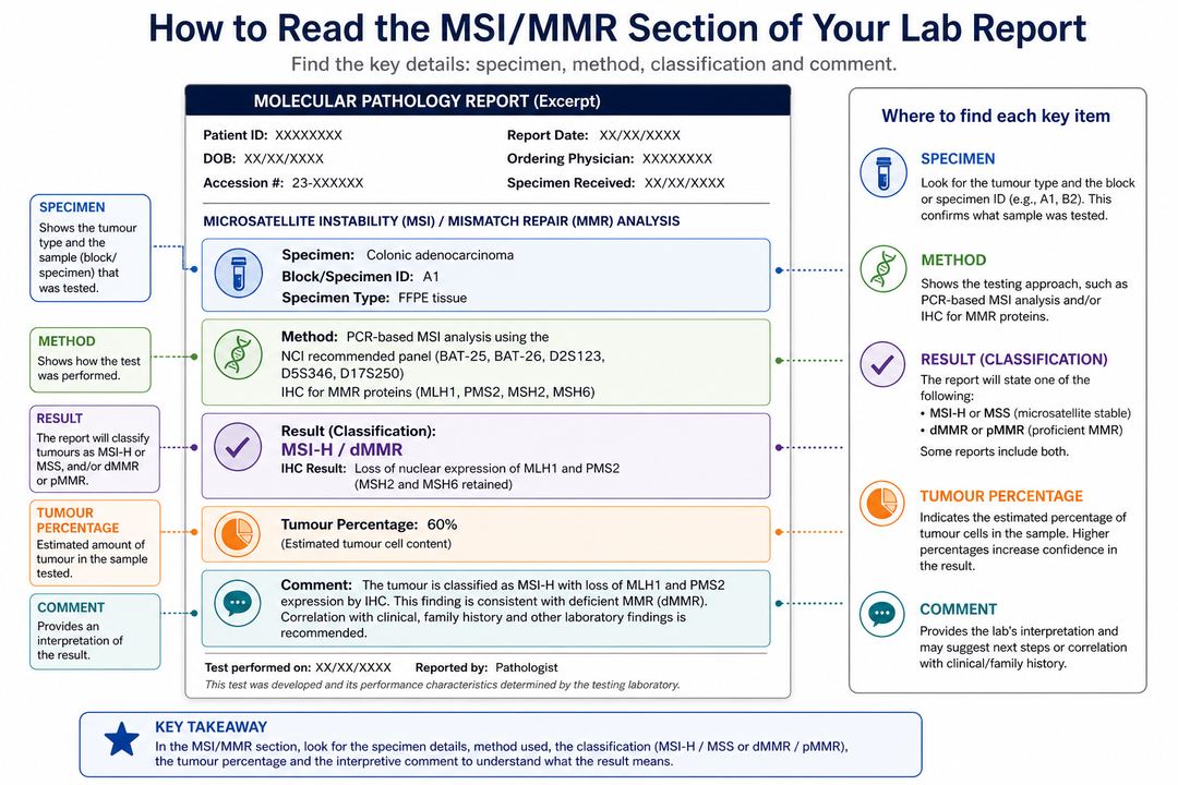 Sample pathology report excerpt with the MSI/MMR section highlighted and annotated to show specimen details, test method, result and comment.