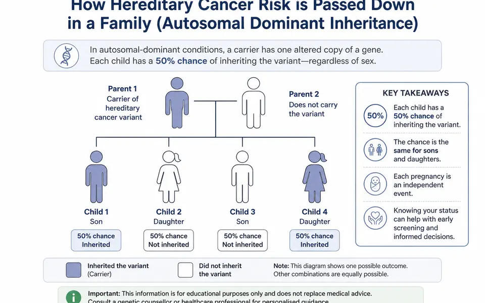 Simple family tree diagram showing an affected parent with a hereditary cancer variant and a 50% chance of passing it on to each child.