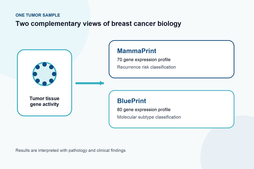 MammaPrint and BluePrint Breast Cancer Testing