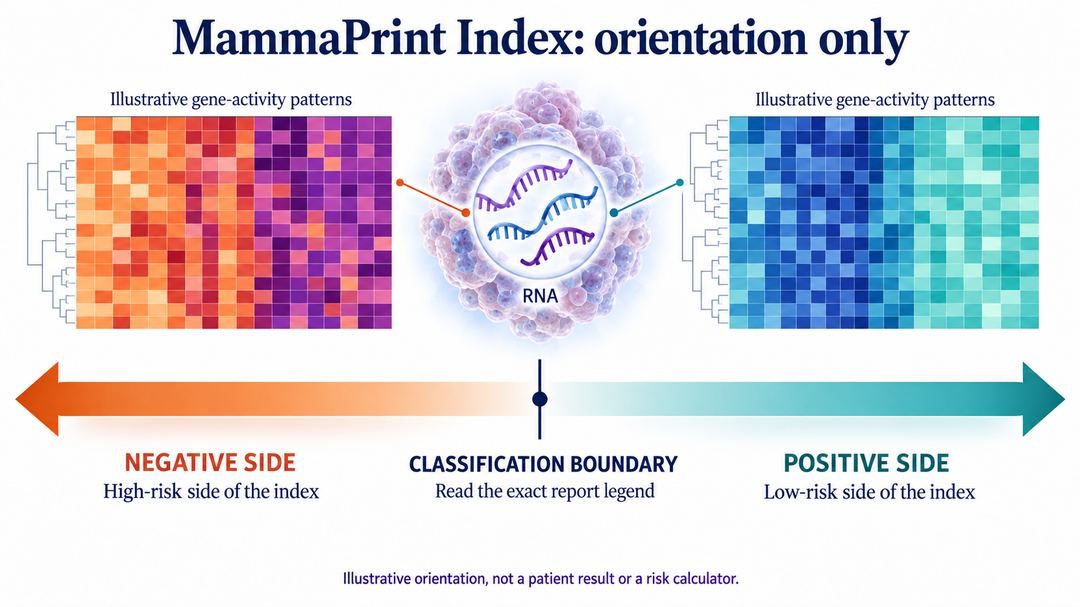 Understanding MammaPrint Results — illustration 2