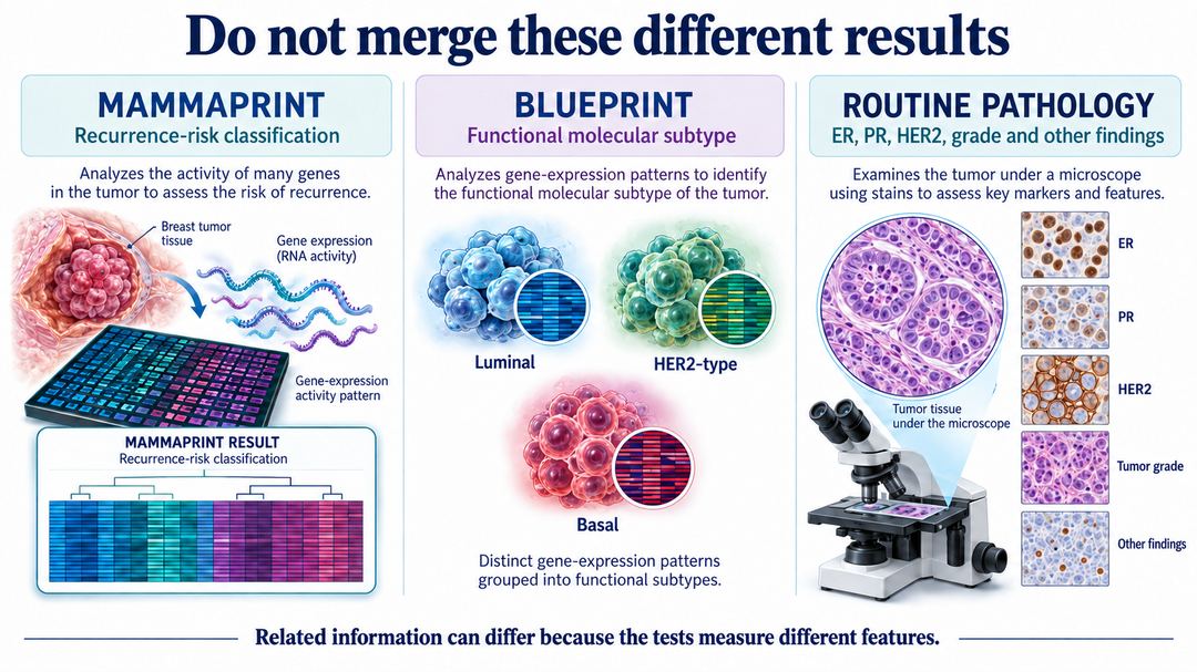 Understanding MammaPrint Results — illustration 3